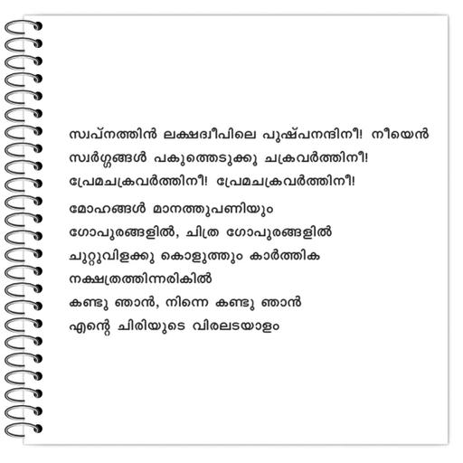 Picture of the product