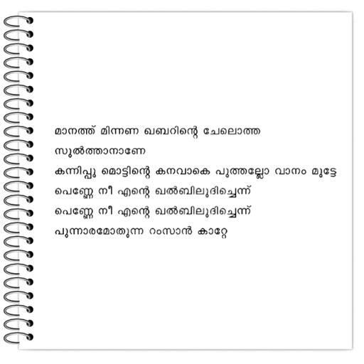 Picture of the product