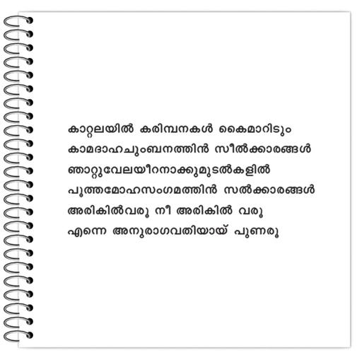 Picture of the product