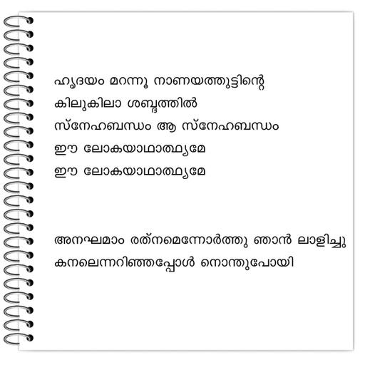 Picture of the product