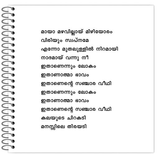 Picture of the product