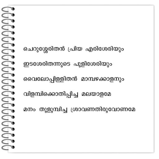 Picture of the product