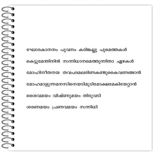 Picture of the product