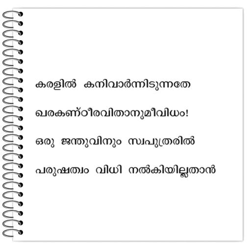 Picture of the product