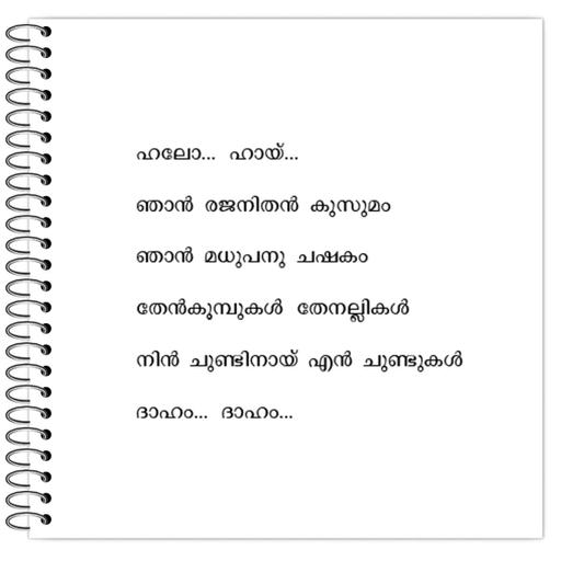 Picture of the product