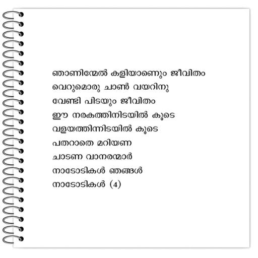 Picture of the product