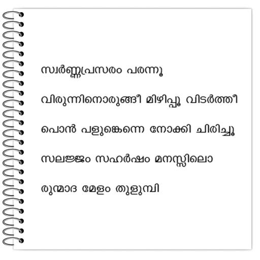 Picture of the product