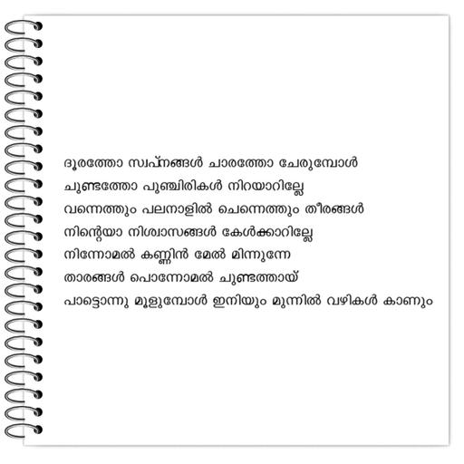 Picture of the product