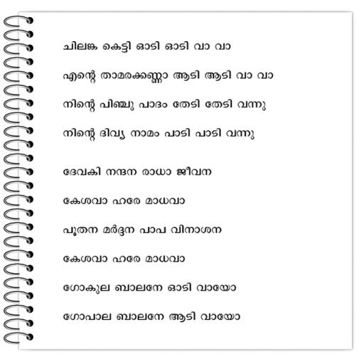 Picture of the product