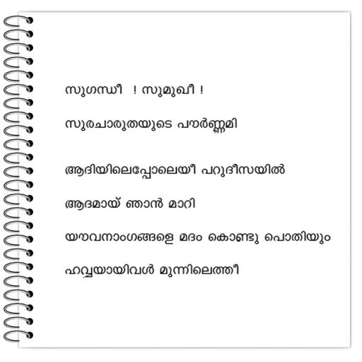 Picture of the product