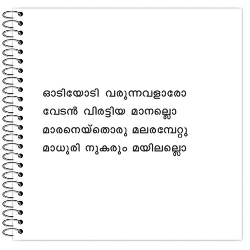 Picture of the product