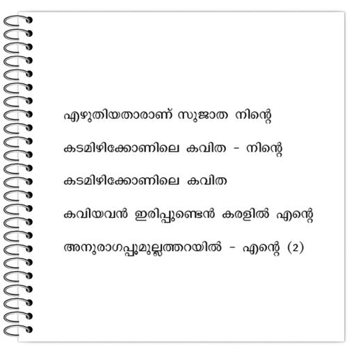 Picture of the product