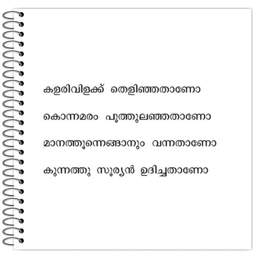 Picture of the product