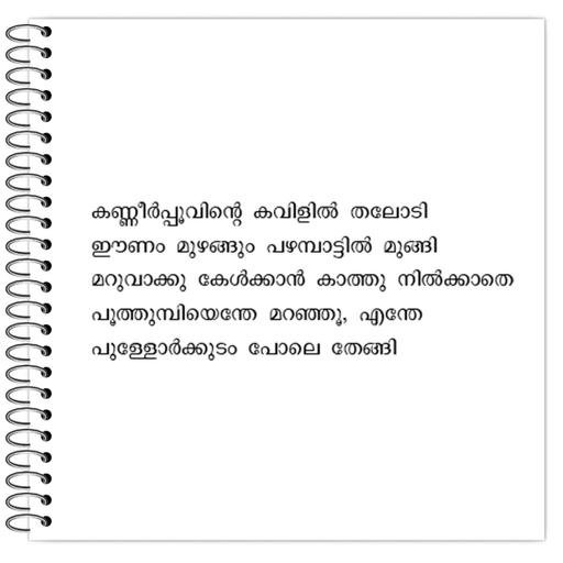 Picture of the product