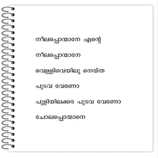 Picture of the product