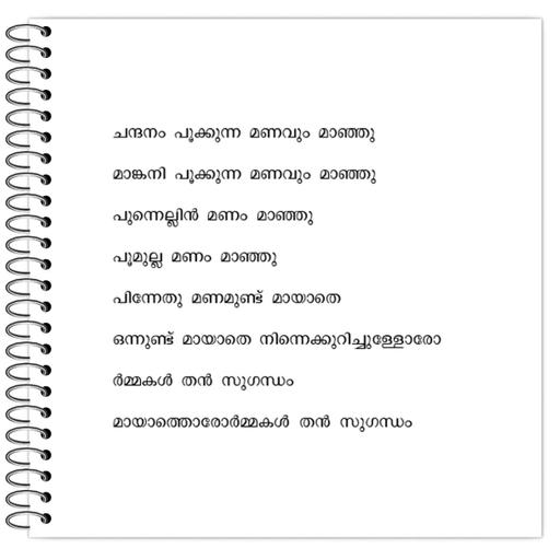 Picture of the product