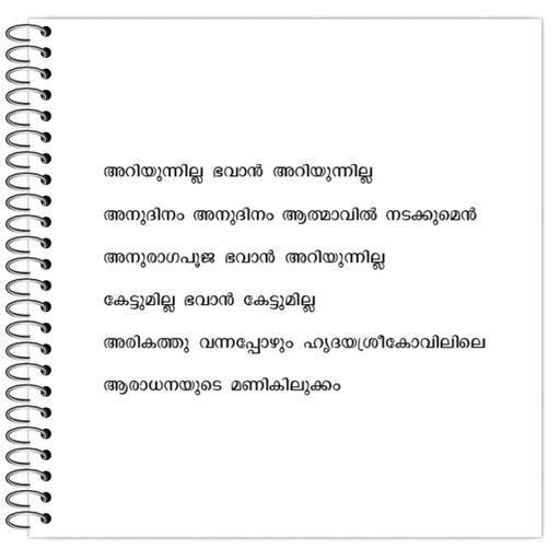 Picture of the product