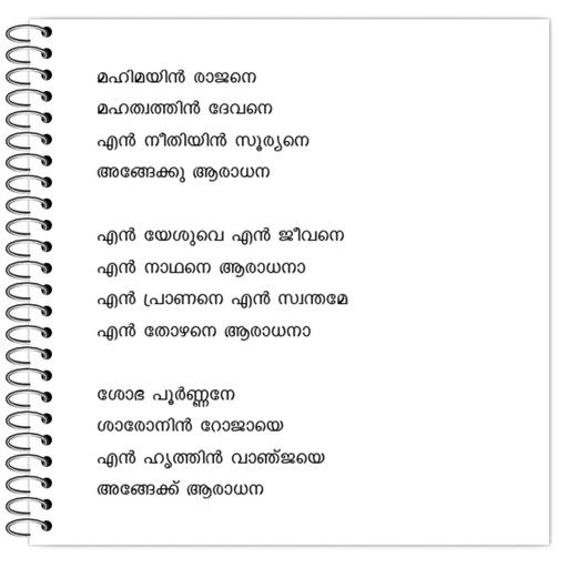 Picture of the product