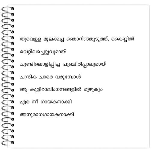 Picture of the product