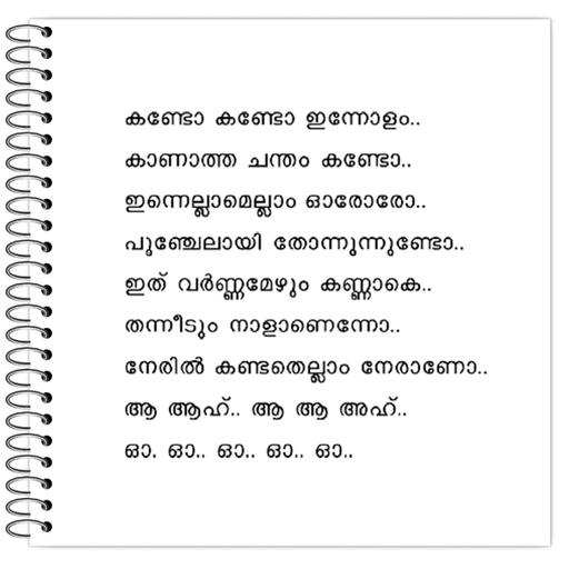 Picture of the product