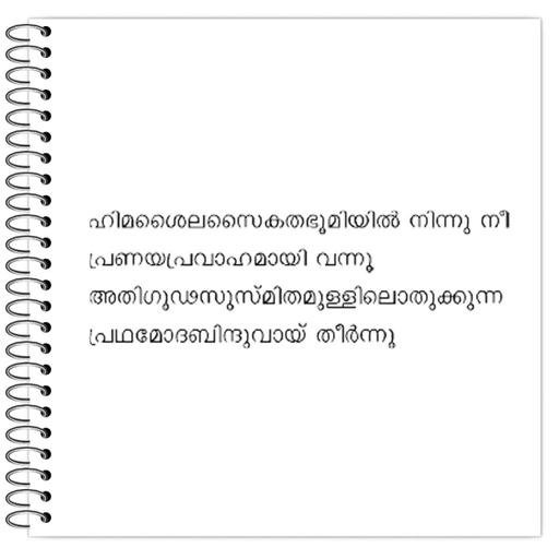 Picture of the product