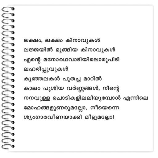 Picture of the product