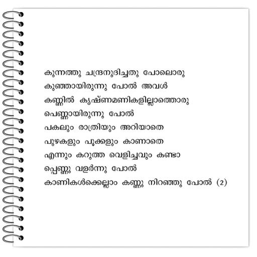 Picture of the product