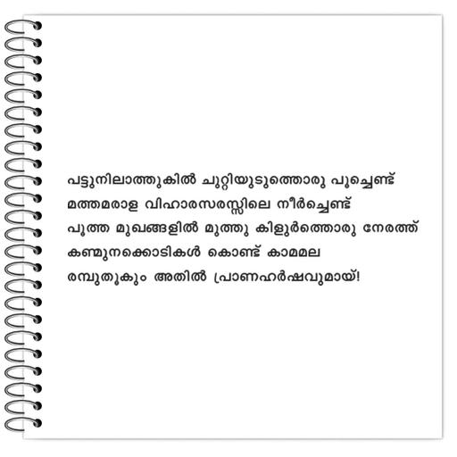 Picture of the product