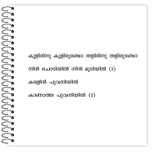 Picture of the product