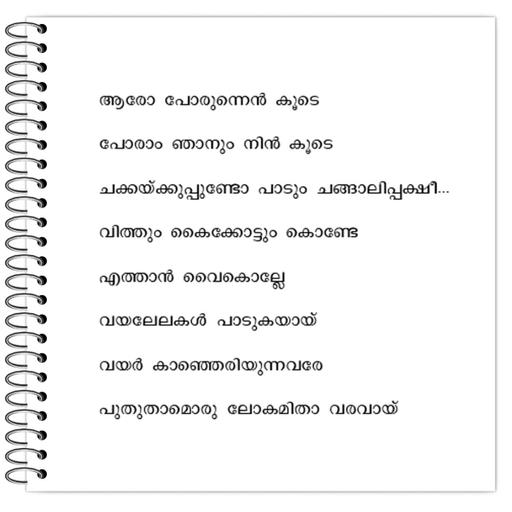 Picture of the product