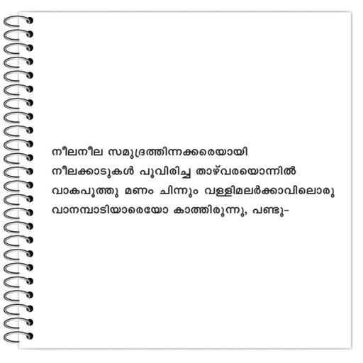 Picture of the product