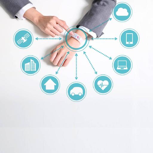 Picture of the product