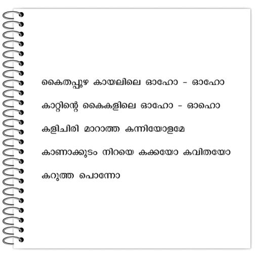 Picture of the product