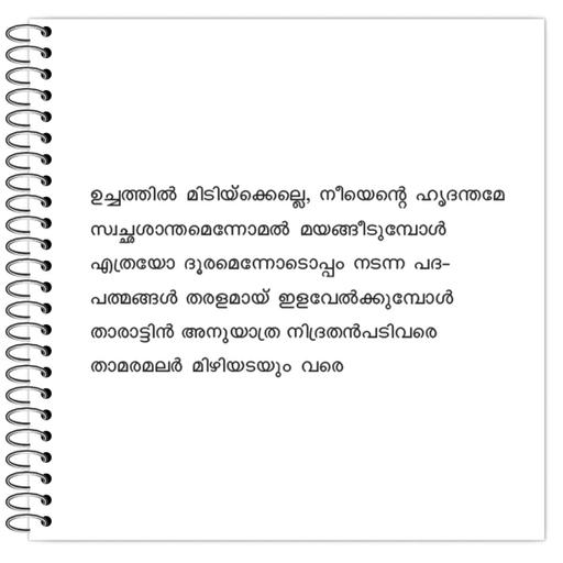 Picture of the product