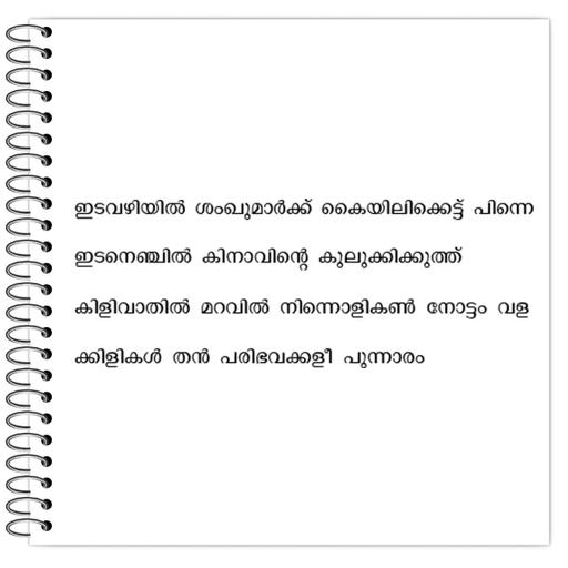 Picture of the product