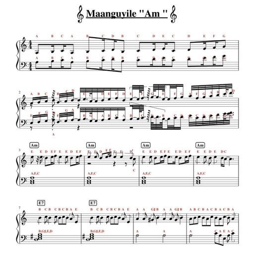 Picture of the product