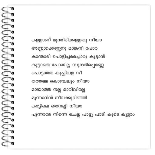 Picture of the product