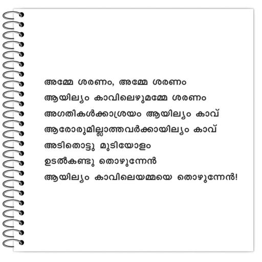 Picture of the product