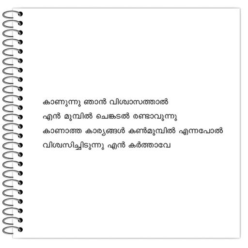 Picture of the product