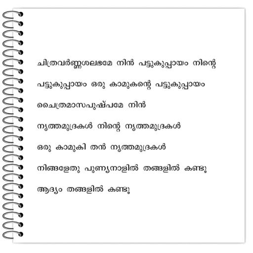 Picture of the product