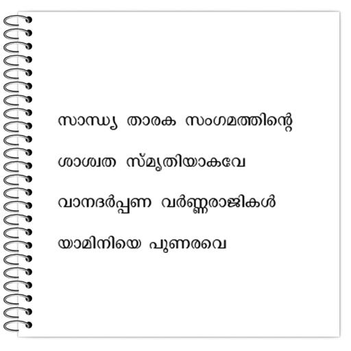 Picture of the product