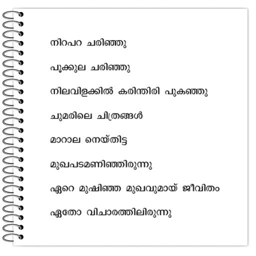 Picture of the product