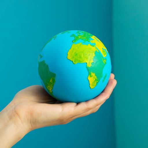 Picture of the product