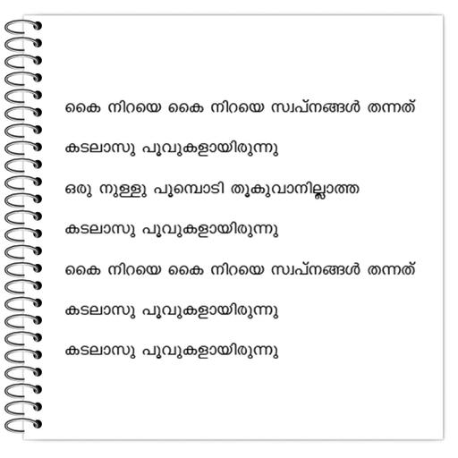 Picture of the product