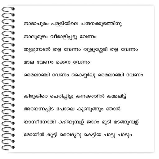 Picture of the product