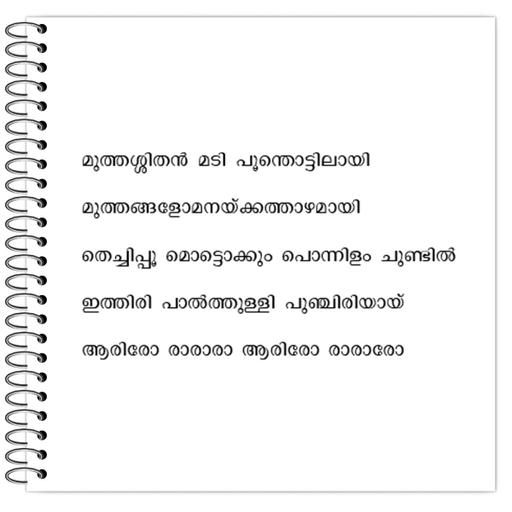 Picture of the product