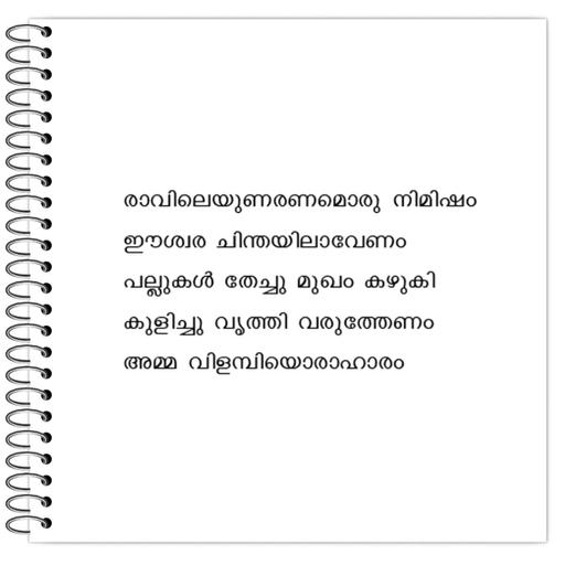 Picture of the product