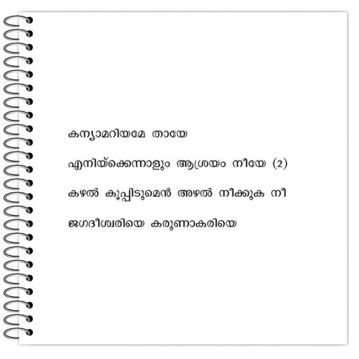 Picture of the product