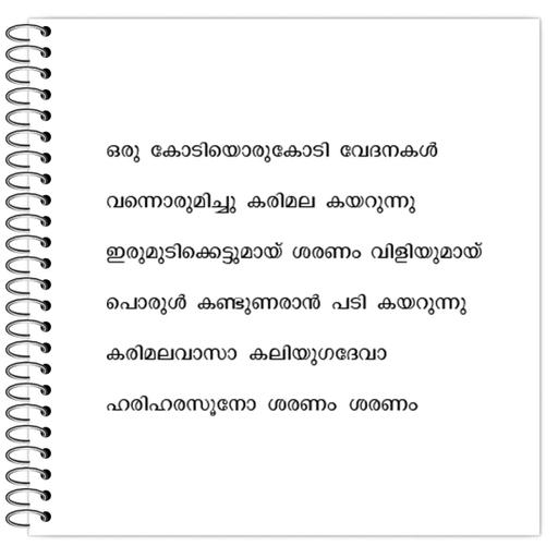 Picture of the product