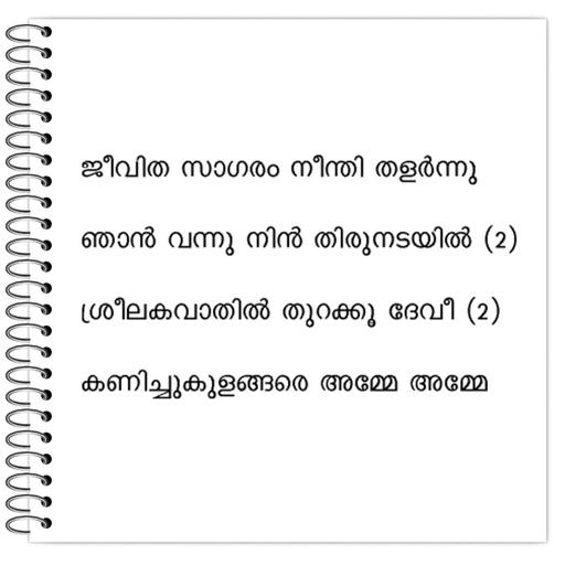 Picture of the product